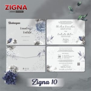 zigna 10