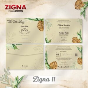 zigna 11