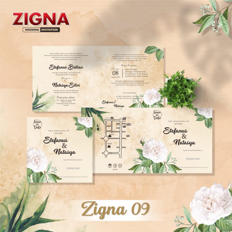 zigna 09
