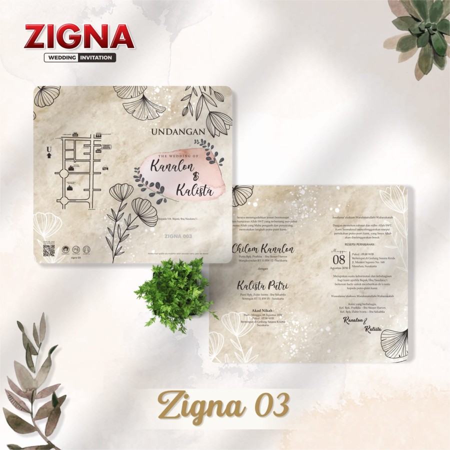 zigna 03